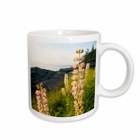 

3dRose Lupine Acadia Mount Desert Island Maine - US20 JMO0711 - Jerry and Marcy Monkman Ceramic Mug 11-ounce