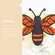 thumbnail image 3 of unbranded 1 De Stickers Decorativos 3D En Forma De Abejas Multicolor Removibles Para Pared, 3 of 8