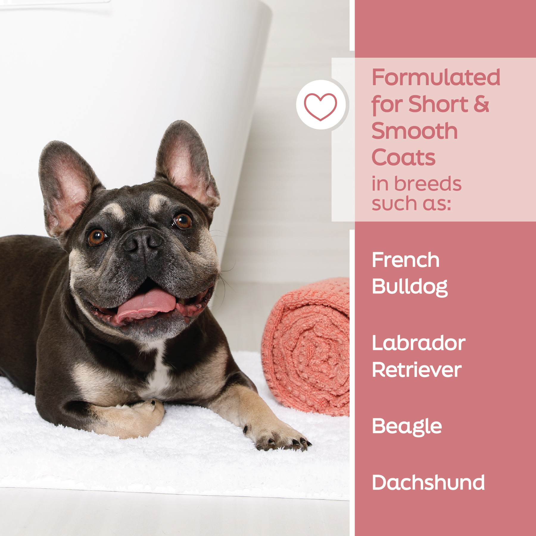 TrueCoat Short & Smooth Coat Dog Shampoo 16oz photo 3