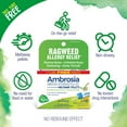 thumbnail image 5 of Boiron Ambrosia 30C Bonus Pack Ragweed Allergy Relief, Runny Nose, Irritated Eyes, Sneezing, Itchy Throat, 3 x 80 Pellets, 5 of 12