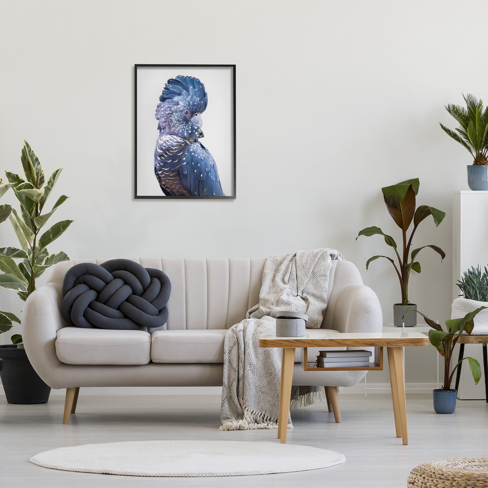 Stupell Industries Grey Cockatoo Portrait Animals & Insects Photography Black Framed Art Print Wall Art, 24 x 30