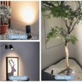thumbnail image 2 of 2pcs Led Spot Lights Indoor Compatible Plants, 3 Color Accent Lighting Dimmable Uplights Spotlight Lamp With Dimmer Switch, 2 of 5