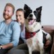 thumbnail image 2 of 2 PCS Silicone Holders Pet Collar Accessories Pet Collar Buckles Anti- Lost Shells Lightweight Covers Pet Protector Collar, 2 of 3