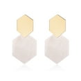 thumbnail image 1 of Minnieouse Pendientes de gota Accesorios populares Patrón largo Pendiente geométrico Regalo de aniversario Gancho de oreja hexagonal para de Ropa, zapatos y accesorios Miscelánea Blanco, 1 of 6