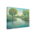 thumbnail image 2 of Trademark Fine Art 'Winding River II' Canvas Art by Tim O'Toole, 2 of 3