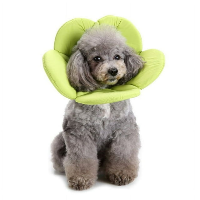 Collier Fleur pour Chat Chien Anti-Morsure Beauté Protecteur Réglable Anneau de Protection