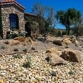 thumbnail image 5 of Mexican Beach Pebbles, Round River Rock Landscape Garden Stones 2000 pounds, 5 of 7