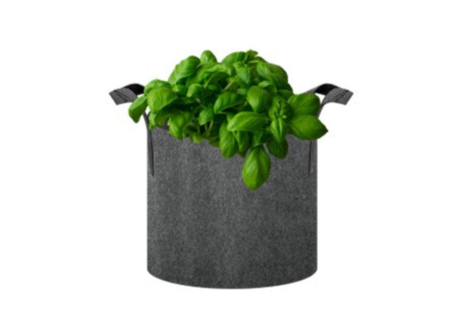 Grow Bag, Grow Bag 2 pieces