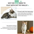 thumbnail image 2 of Cat Toy Ball Electric Rotating Cat Ball Automatic Rolling Cat Balls Rechargeable Pet Exercise Balls with LED Light Interactive Toys for Kitten Puppies Green, 2 of 6