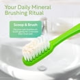 thumbnail image 3 of Polvo dental natural ayurvédico Uncle Harry's 88 g, 3 of 7