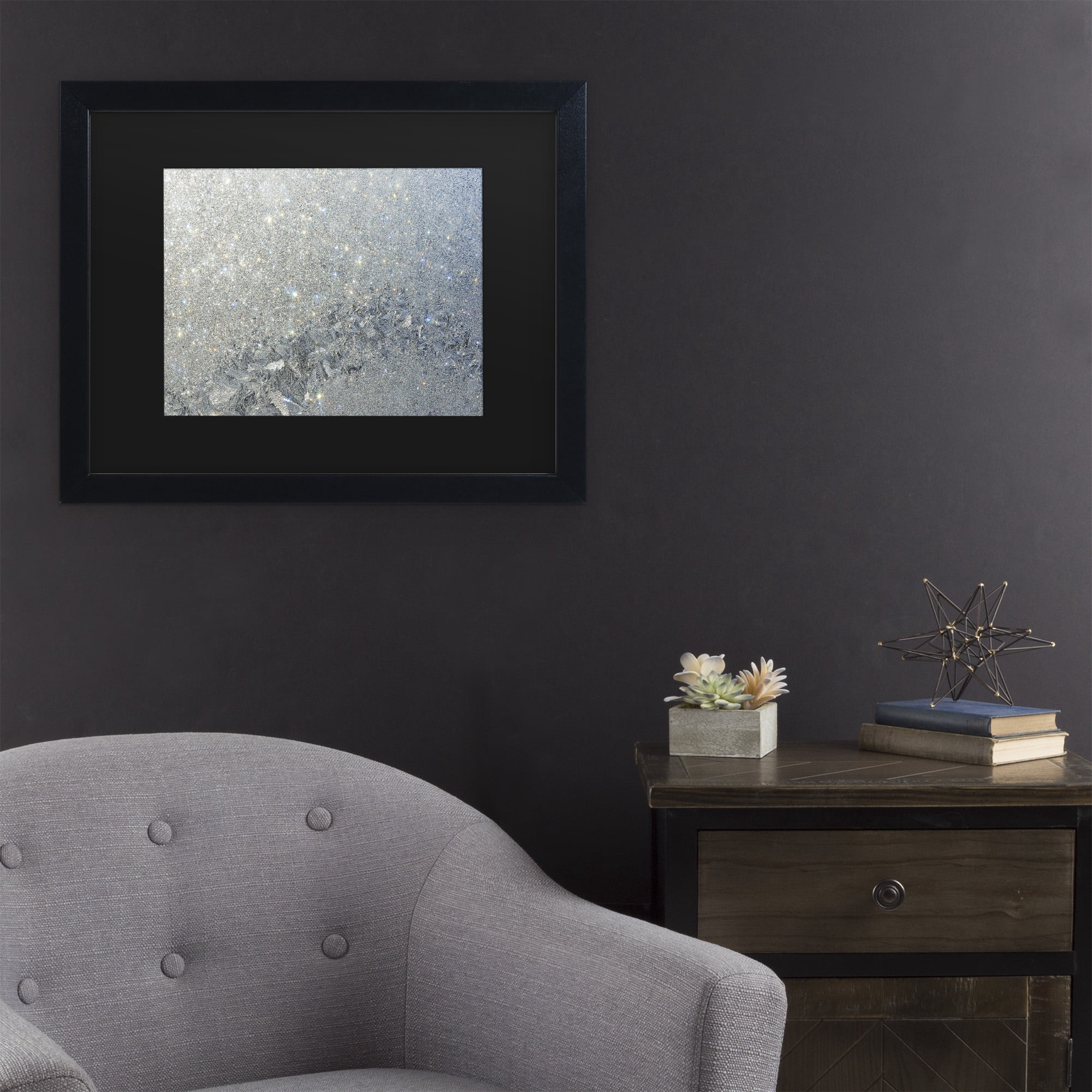 Trademark Fine Art 'Frost Pattern Sun Stars' Canvas Art by Kurt Shaffer