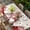 beige, variant on Pink Gnomes Valentines Table Cloths for 3 Foot Rectangle Tables, Red Love Heart Eucalyptus Leaves Patio Waterproof Elastic Fitted Tablecloths, Washable Rectangular Table Cover for Camping