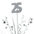 thumbnail image 2 of 12 Pack Beistle Glittered 25th Anniversary Metallic Star Spray, 2 of 2