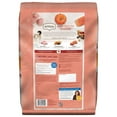 thumbnail image 4 of Rachael Ray Nutrish Inner Health Turkey, Chickpeas & Salmon Recipe Dry Cat Food, 14 lb. Bag, 4 of 11