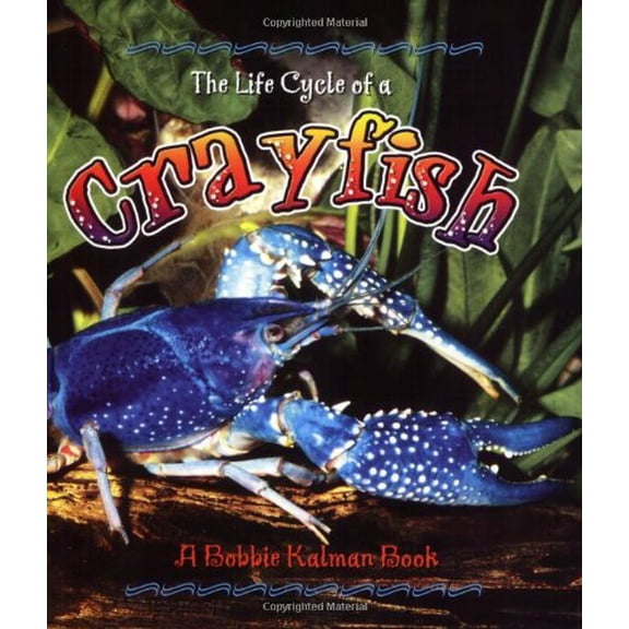 Pre-Owned The Life Cycle of a Crayfish (Paperback) 0778707032 9780778707035