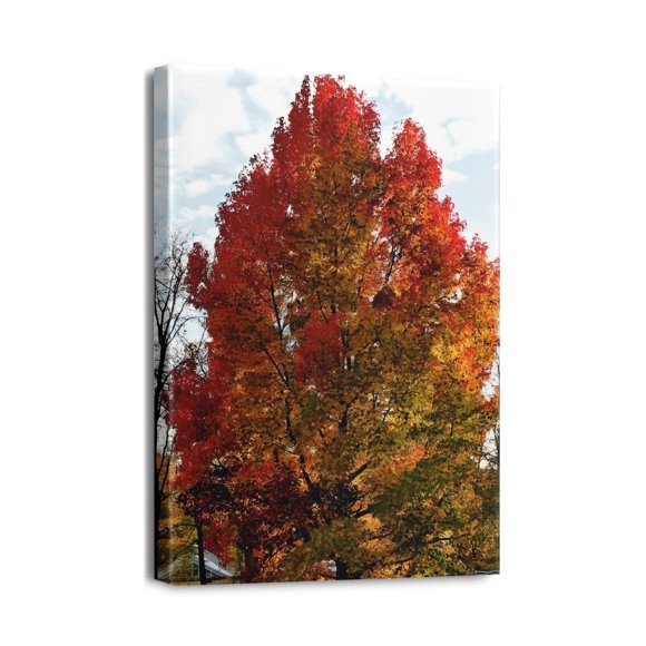 Decorate with Nature! Unframed 12x16 Landscape Forest, Tree & Plant Scenery Canvas Prints - Waterproof Wall Art for Kitchen, Dining Room, Office