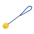 thumbnail image 3 of Methold Pelota de entrenamiento para masticar mascotas de goma interactiva no tóxica, limpieza de dientes, juguete de cuerda para jugar a Suministros para perros, 3 of 6