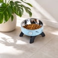 thumbnail image 3 of Elevated Stainless Steel Cat Food Bowl, 2 Pack Raised Feeding Dish for Cats, Non-Slip Printed Pet Bowls for Food and Water(5.71*5.71*3.35in,Blue), 3 of 5