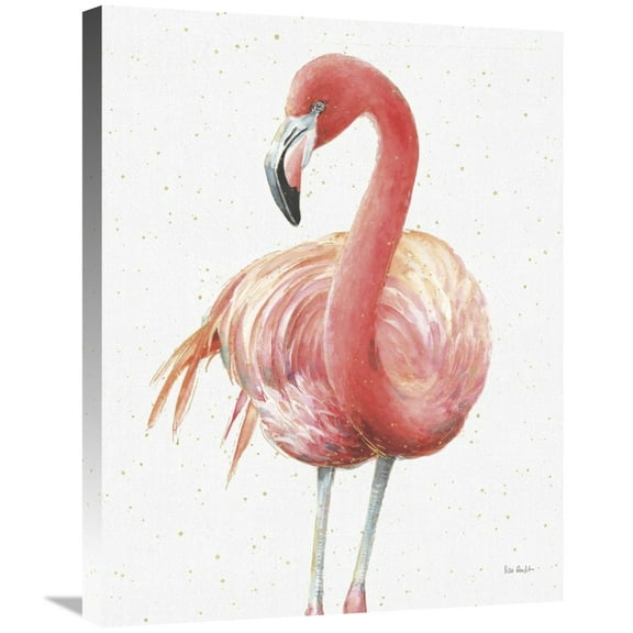 Global Gallery's 'Gracefully Pink IV' By Lisa Audit Stretched Canvas Wall Art