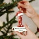 thumbnail image 4 of Adornos de letras para árbol de Navidad | Colgantes con el alfabeto | Set de 26 piezas para decoración navideña DIY | Adornos colgantes de acrílico para el hogar, la oficina y la escuela, 4 of 9