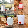 thumbnail image 2 of Metal Stand for Chicken Feeder Waterer, 4 Legs Iron Stand Holder, Round Supports Rack for Barrels Buckets Equipped Installed with Feeder Waterer Port, for Poultry Chicken Coop Indoor Outdoor, 2 of 7