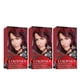 thumbnail image 1 of Tinte de Cabello Revlon Burgundy Intenso Colorsilk 3 Unidades, 1 of 10