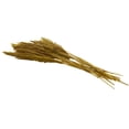 thumbnail image 6 of 35" Dried Plant Natural Foliage Pampas Bouquet with Long Stems, by DecMode, 6 of 8