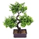 thumbnail image 5 of ColoMX Decoración del modelo de planta verde artificial Simulación de la planta en maceta Decoración de bonsai falso, 5 of 7