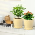 thumbnail image 3 of BUYMAX Plant Pots Indoor –6 inch Ceramic Flower Pot with Drainage Hole and Ceramic Tray - Gardening Home Desktop Office Windowsill Decoration, Set of 2(YELLOW), 3 of 6