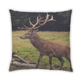 thumbnail image 2 of Ahgly Company Sites Antelope Outdoor Throw Pillow, 18 inch by 18 inch, 2 of 6