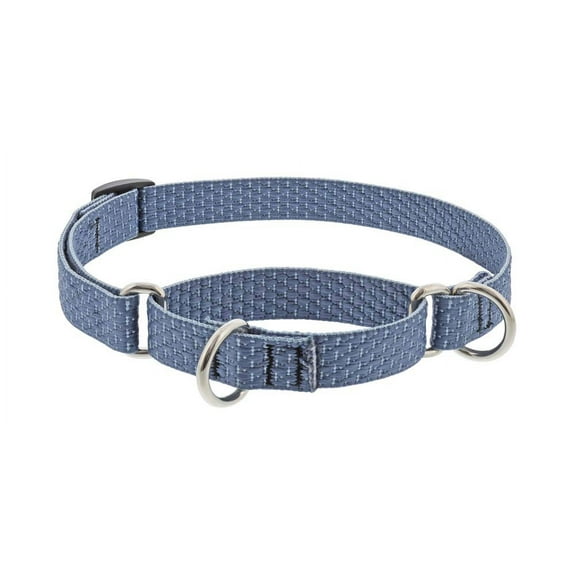 Martingale Dog Collar by Lupine ECO Collection 3/4" Wide Mountain Lake adjusts 14" to 20"