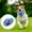 Blue, variant on BotaniNest Pet Plush Chew Toy Animal Play Squeak Toy Plush Puppy Toy Donkey Chew Squeak Puppy Pet Supplies