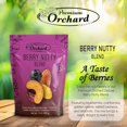 PREMIUM ORCHARD Berry Nutty Blend Deluxe Mixed Nuts with Dried