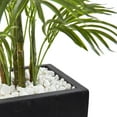 thumbnail image 2 of Nearly Natural 4.5 ft. Areca Palm Tree with Black Wash Planter UV Resistant (Indoor/Outdoor), 2 of 8
