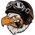 thumbnail image 1 of 5" American Eagle Aviator Biker Cigar, 1 of 1