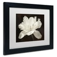 thumbnail image 3 of Trademark Fine Art 'White Tulip I' Canvas Art by Cora Niele, White Matte, Wood Frame, 3 of 4