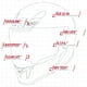 thumbnail image 5 of Casco Integral Joe Rocket RKT 240 ION Titanio Mate gris oscuro M, 5 of 10