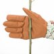 thumbnail image 4 of gants De Jardinage Pour Femmes, Gants De Jardinage Imprims, Manches Longues Anti - Piqres, Gants De Jardin Lgants Pour Femmes, 4 of 5