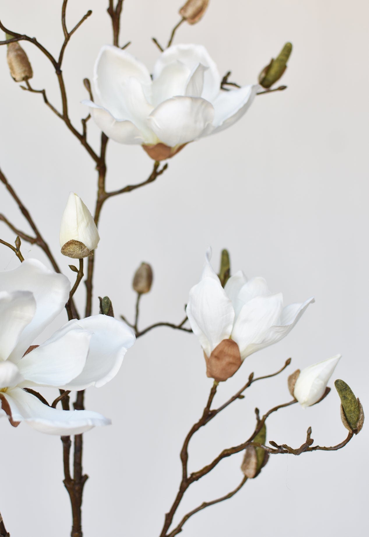 Allstate Floral & Craft FSM336-CR 40 in. Silk Magnolia