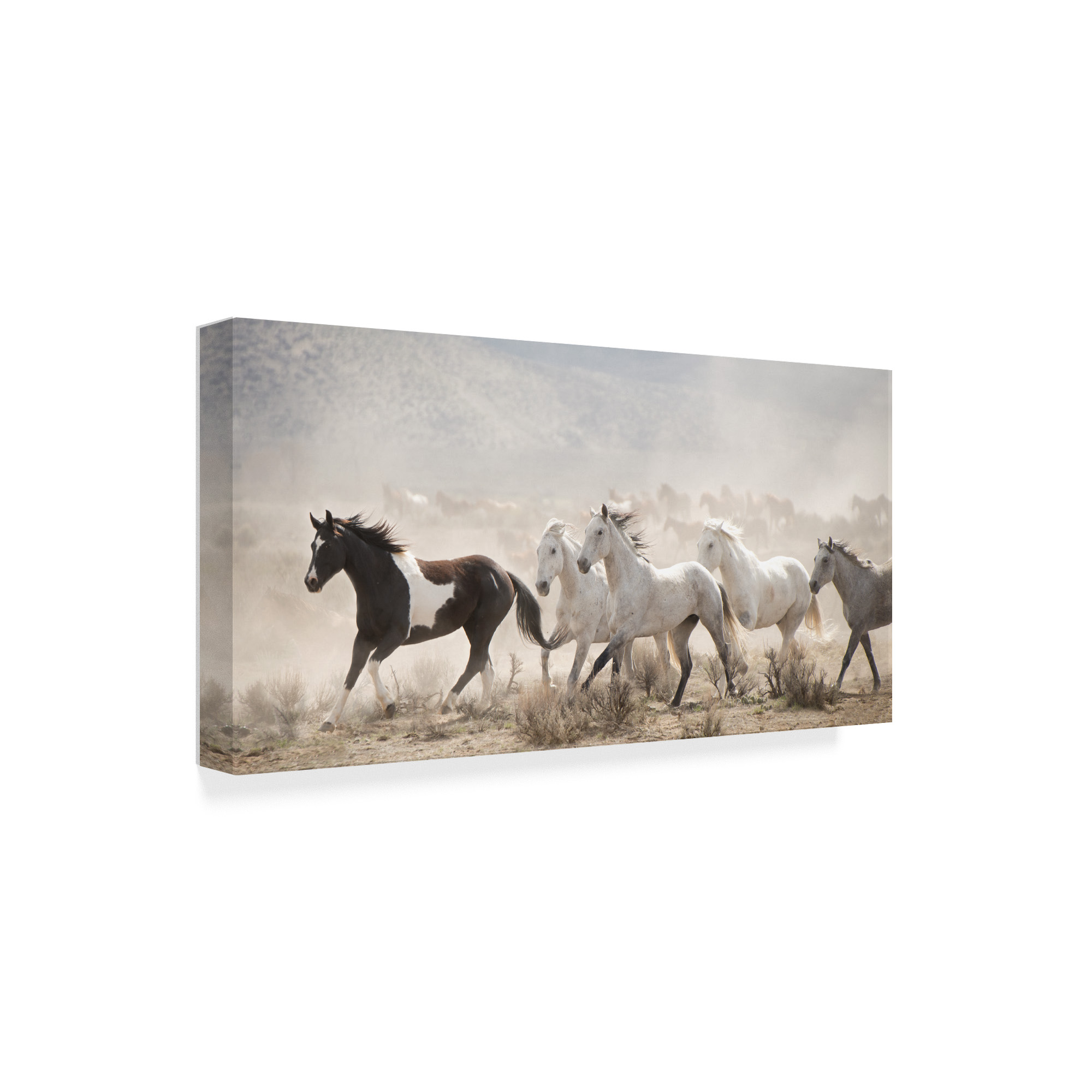 Trademark Fine Art 'Open Range' Canvas Art by PHBurchett