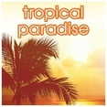 thumbnail image 2 of Suave Tropical Paradise Invisible Solid Deodorant 48 HR Anti Staining 2.6 oz 4 Pack, 2 of 4