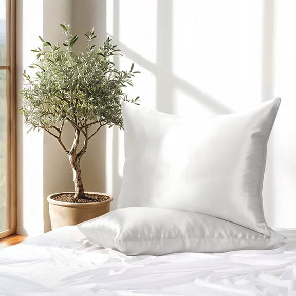 100% Mulberry Silk Pillowcase for Hair and Skin by Noble Linens, Silver