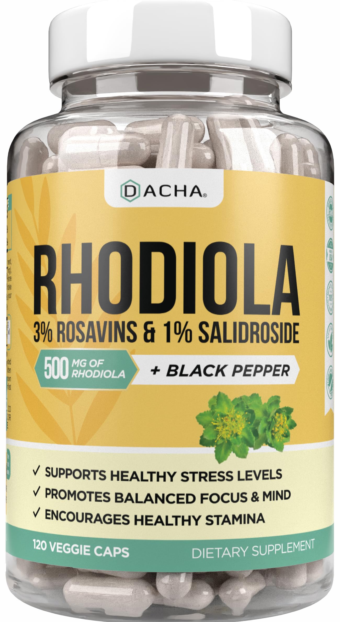 Dacha Rhodiola Suplemento DACHA Natural Rhodiola Rosea 500 mg 120 cápsulas | Walmart ...