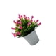 thumbnail image 2 of Matsuzay Bonsái de plantas artificiales, flores y plantas de imitación para interiores o exteriores, flores artificiales ecológicas Decoración rosa, 2 of 6