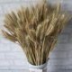 thumbnail image 2 of 100 Stems Dried Wheat Stalks 100% Natural Wheat Decor For Home Christmas Wedding-hy, 2 of 4