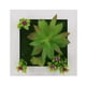 thumbnail image 1 of Plantas Foto Plantas de simulación artificial Colgante de pared 3D / Flores de escritorio Plantas de Meterk 26, 1 of 7