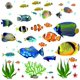 thumbnail image 1 of Debajo de las calcomanías de pared de peces de mar Calcomanías decorativas de pared de arrecife de coral Calcomanías de pared de peces pelar y pegar pegatinas arte de pared de estrella de mar BRI  Rojo Verde, 1 of 5
