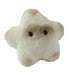 thumbnail image 2 of Lindo capibara estrella capibara peluche colgante bolso llavero adornos muñeca dibujos animados Siam, 2 of 5
