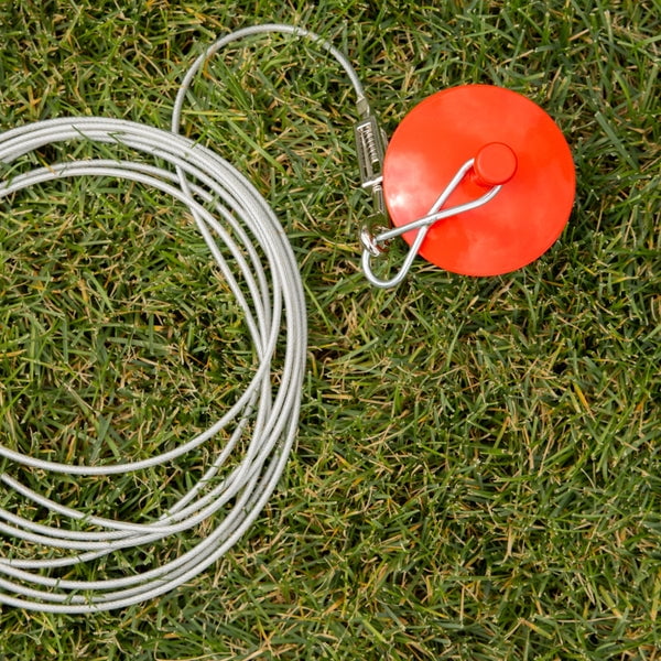 Carlson Pet Dome Stake with Barbed Body for Outdoor Security