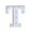 T, variant on KIHOUT Home Decor , Alphabet LED Letter Lights Light Up White Plastic Letters Standing Hanging A-M &